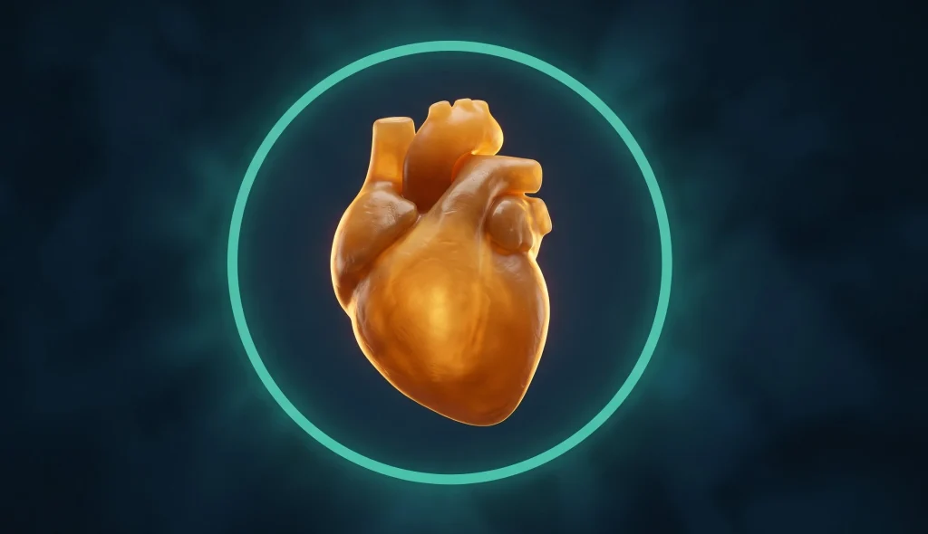 Amber anatomical heart surrounded by glowing teal protective circle on deep navy background, representing mad honey contraindications and who should not consume it