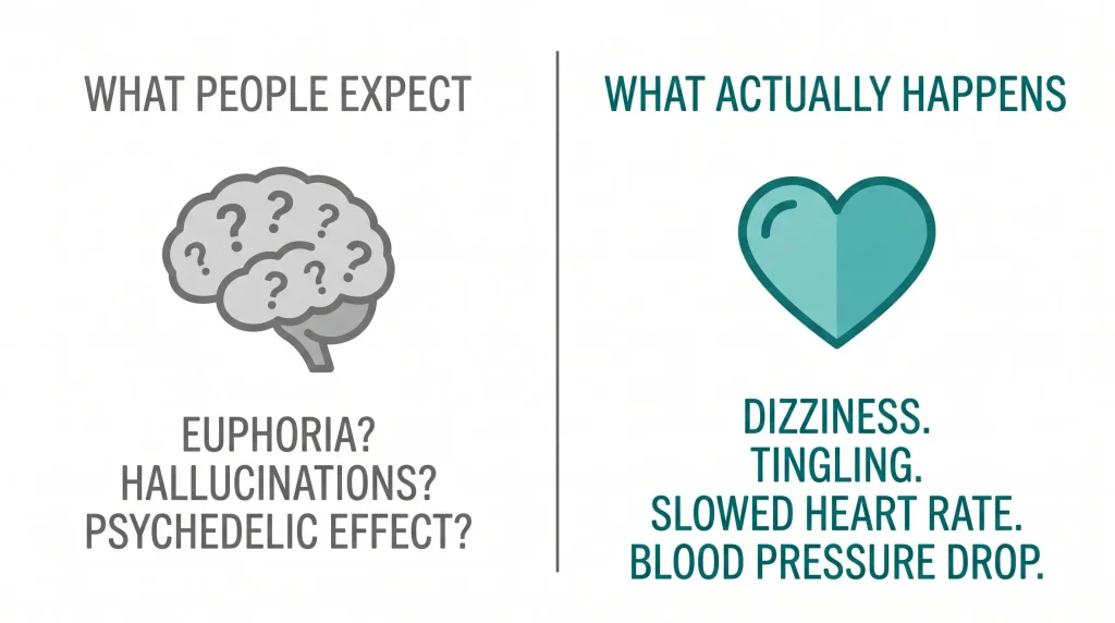 Infographic comparing what people expect from mad honey (euphoria, hallucinations) versus what actually happens (dizziness, slowed heart rate, blood pressure drop)