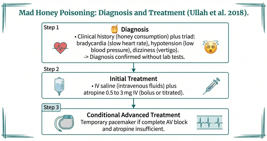 Three-step clinical flowchart from Ullah et al 2018 for mad honey poisoning diagnosis using bradycardia hypotension triad, initial treatment with IV saline and atropine, and conditional pacemaker for AV block