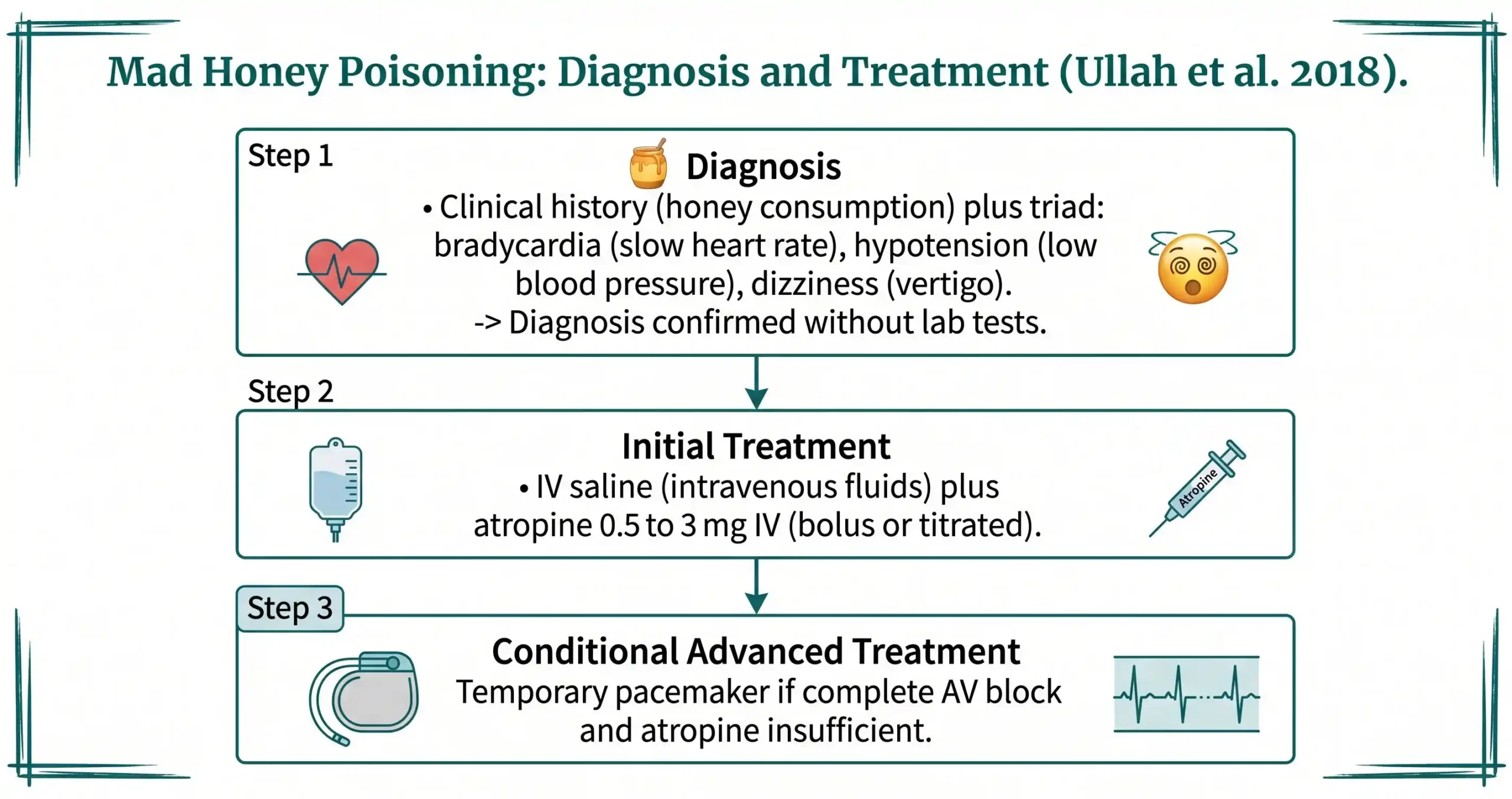 Mad Honey Uses, Diagnosis, and Treatment: What the Clinical Literature Documents