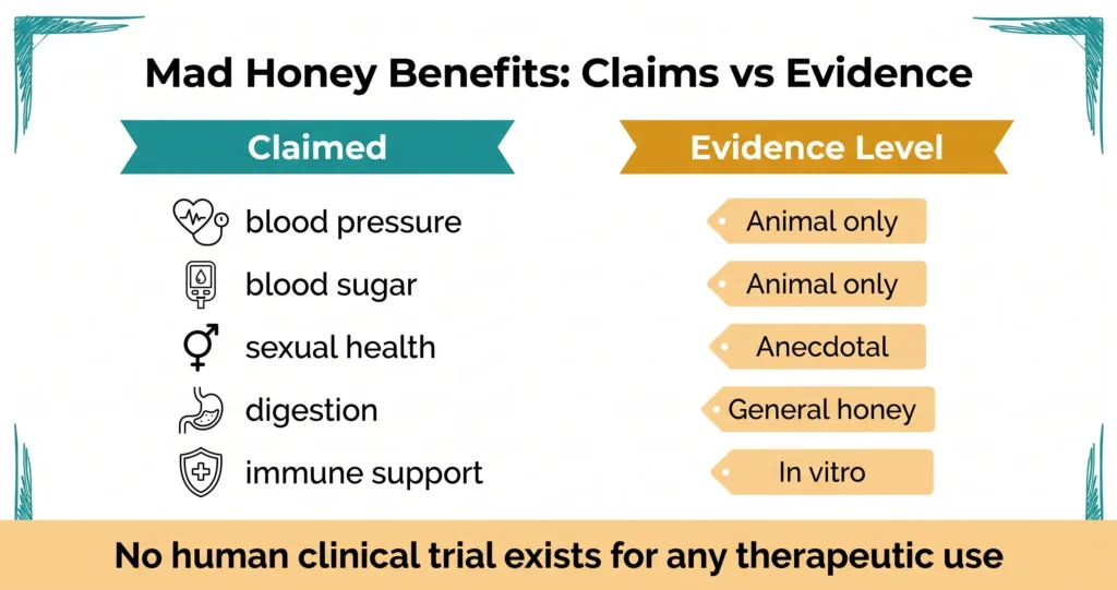 Infographic comparing mad honey claimed benefits including blood pressure, blood sugar, sexual health, digestion and immune support against evidence levels of animal only, anecdotal, general honey and in vitro, with note that no human clinical trial exists
