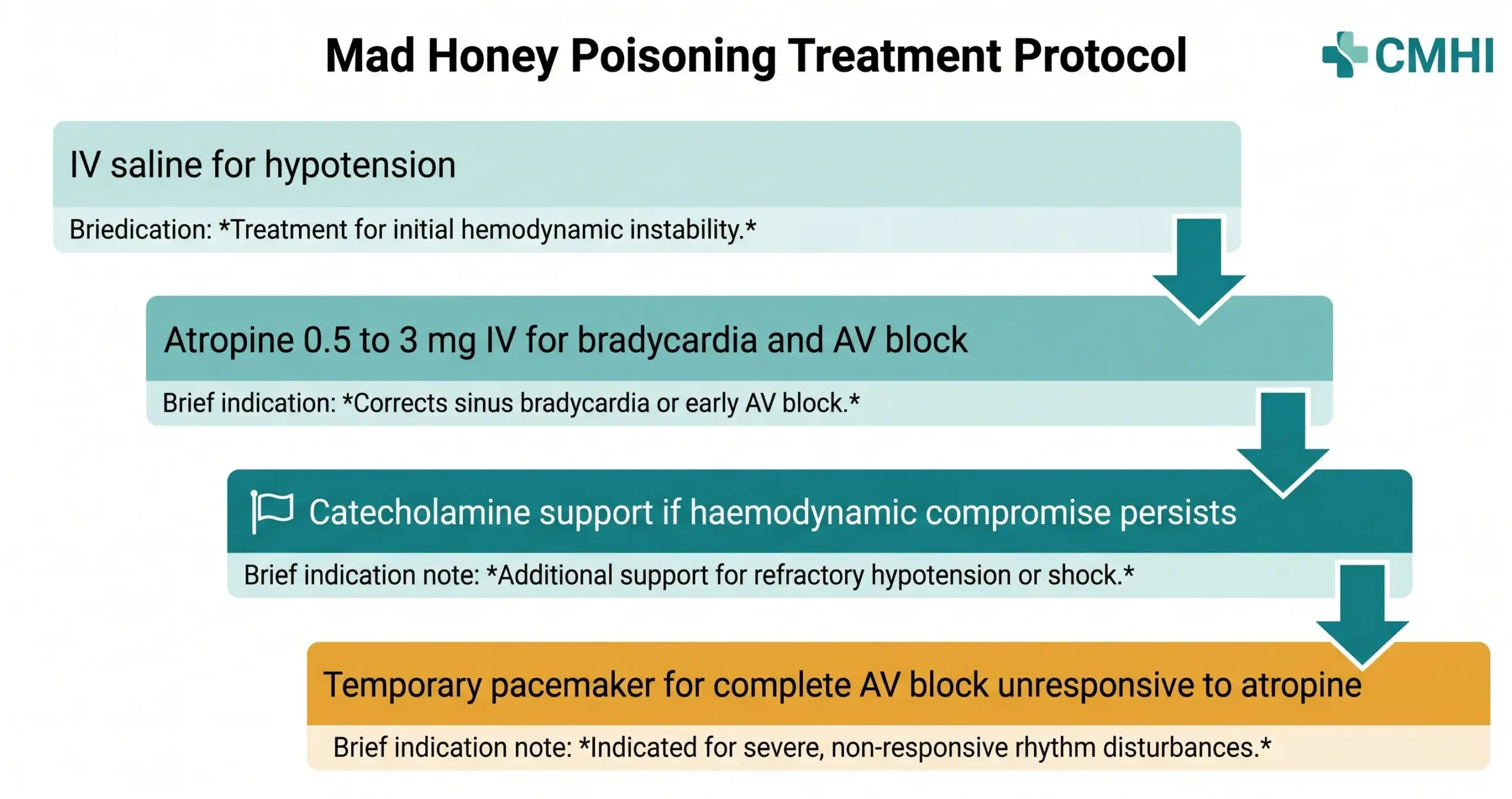 Mad Honey Poisoning Treatment Protocol: Stepwise Clinical Management with Pharmacological Rationale