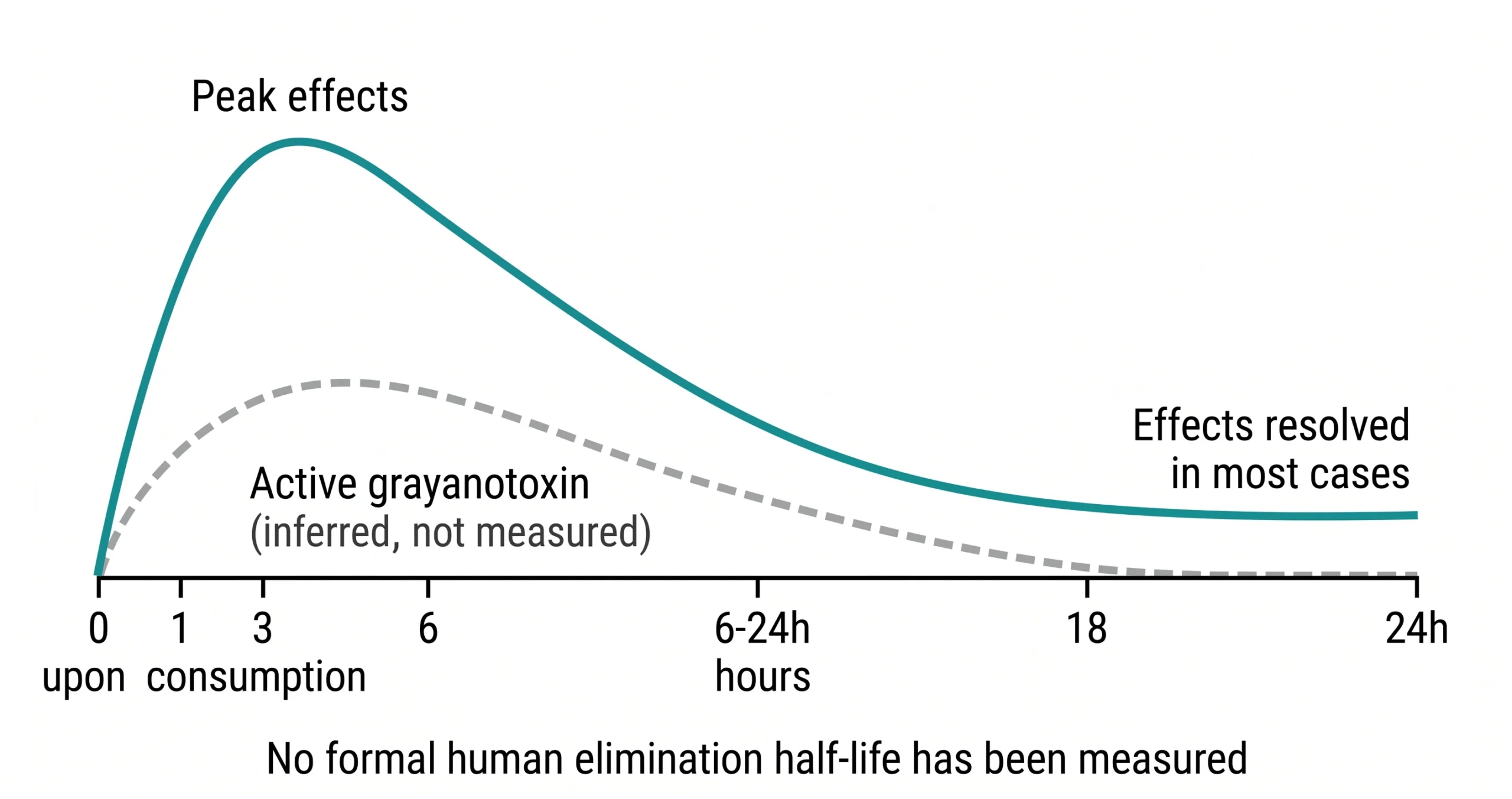 How Long Does Mad Honey Stay in Your System? Grayanotoxin Clearance and Half-Life