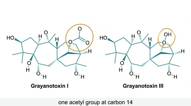 Grayanotoxin I vs Grayanotoxin III: What Is the Difference?