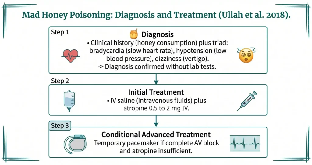 Three-step clinical flowchart from Ullah et al 2018 for mad honey poisoning diagnosis using bradycardia hypotension triad, initial treatment with IV saline and atropine, and conditional pacemaker for AV block